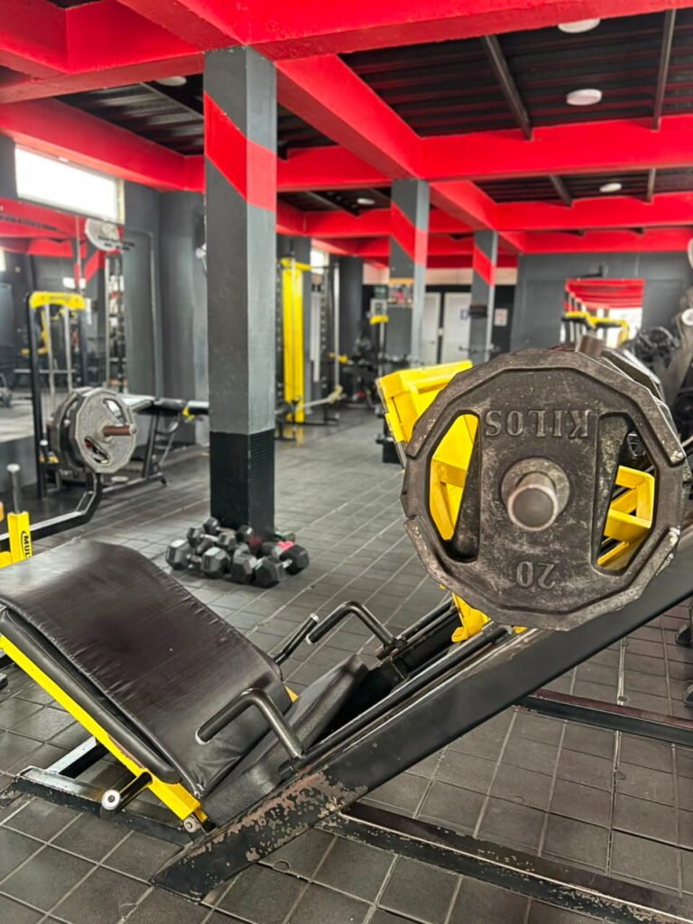 Imagen 1 de la galería